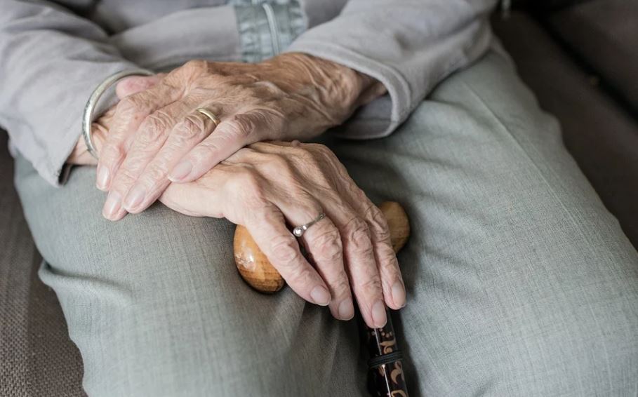 요양보호사 자격증 