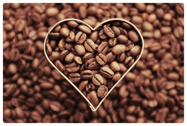 커피바리스타1급 자격증 속성취득과정